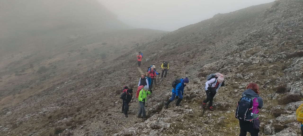 WhatsApp Image 2026-02-10 at 14.47.43 (3)